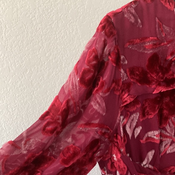 Erdem Carwen Dress 2018 Velvet Voile Jacquar Raspberry Size 6 - Picture 6 of 16